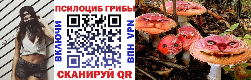 Галлюциногенные грибы ЛСД  Купить  Каменка 